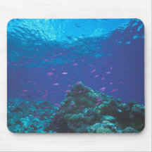 Australia, Great Barrier Reef. Swarming Purple Mouse Pad
