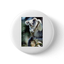 Australia Koala Bear Pins