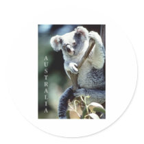 Australia Koala Bear Round Sticker
