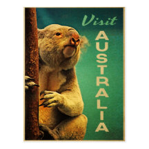 Australia Koala Postcards