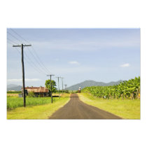 Australia, Queensland, North Coast, Babinda.