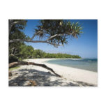 Australian beach postcard