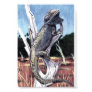 Australian Bearded Dragon Poster