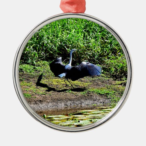 australian bird stork rural queensland australia metal australian bird stork rural queensland australia metal