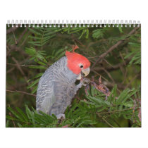 Australian Birds Wall Calendar