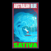 AUSTRALIAN BLUE SATIVA posters