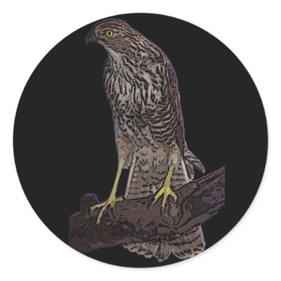 Australian brown goshawk stickers by Lisachromis