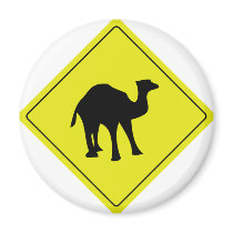 australian camel roadsign yellow refrigerator magnet