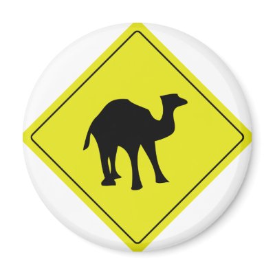 australian camel roadsign yellow refrigerator magnet by Tomaniac