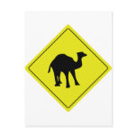 australian camel roadsign yellow postcards
