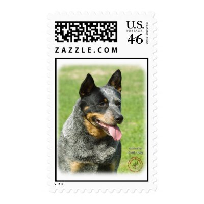 Australian Cattle Dog 9F059D-23 Postage Stamp by TraffordPhotos