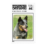Australian Cattle Dog 9F059D-23 postage