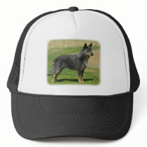 Australian Cattle Dog 9F060D-06 Trucker Hat