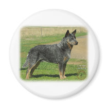 Australian Cattle Dog 9F060D-06 Fridge Magnets