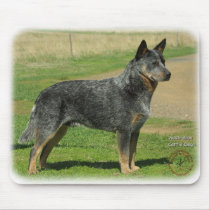 Australian Cattle Dog 9F060D-06 Mouse Pads