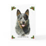 Australian Cattle Dog 9F061D-03 Greeting Card