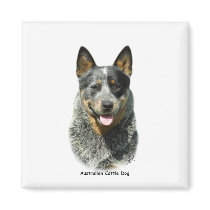 Australian Cattle Dog 9F061D-03 Refrigerator Magnet