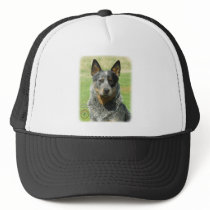 Australian Cattle Dog 9F061D-04_2 Mesh Hats