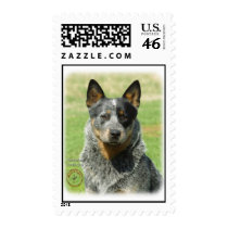 Australian Cattle Dog 9F061D-04_2 Stamp
