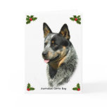 Australian Cattle Dog 9F061D-05