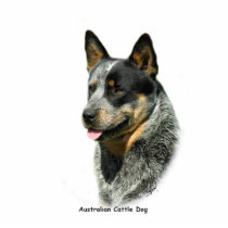 Australian Cattle Dog 9F061D-05 photo sculptures by TraffordPhotos Australian Cattle Dog 9F061D-05 photo sculptures