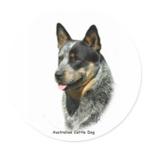 Australian Cattle Dog 9F061D-05 Sticker