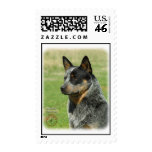 Australian Cattle Dog 9F061D-06_2 Postage Stamps