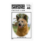 Australian Cattle Dog 9K009D-19 Stamps