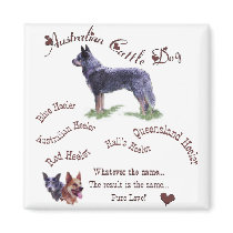 Australian Cattle Dog Art Gifts magnets