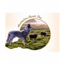 Australian Cattle Dog Art t-shirts