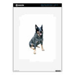 Australian Cattle Dog (B) Decal For iPad 3