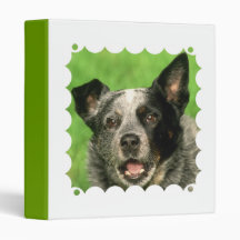 Australian Cattle Dog Binder