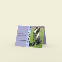 Australian Cattle Dog Birthday Greeting Card