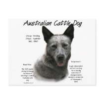 Australian Cattle Dog (blue) History Design Postcard