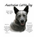 Australian Cattle Dog (blue) History Design t-shirts by GreyWolfCreation Australian Cattle Dog (blue) History Design t-shirts