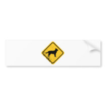 Australian Cattle Dog Bumper Stickers