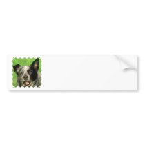 Australian Cattle Dog Bumper Sticker