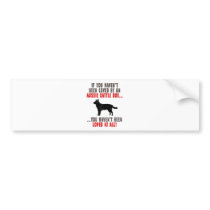 Australian Cattle Dog Bumper Sticker