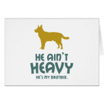Australian Cattle Dog