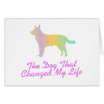 Australian Cattle Dog Cards