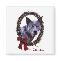 Australian Cattle Dog Christmas Gifts magnets by DogsByDezign Australian Cattle Dog Christmas Gifts magnets