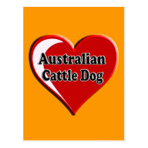 Australian Cattle Dog Dog Heart for Dog Lovers Postcard