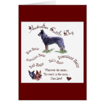 Australian Cattle Dog Gifts cards