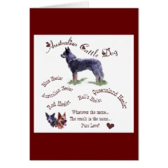 Australian Cattle Dog Gifts card