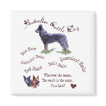 Australian Cattle Dog Gifts magnets