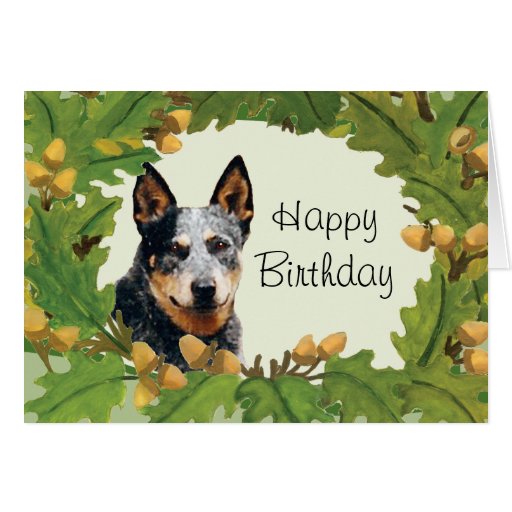 Australian Shepherd With Birthday Cake Australian Shepherd With Birthday Cake