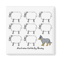 Australian Cattle Dog Herding Sheep Magnet