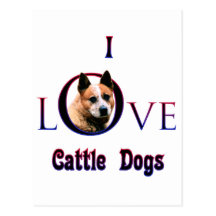 Australian Cattle Dog I Love Postcard