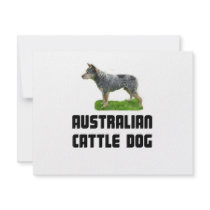 Australian Cattle Dog Announcement