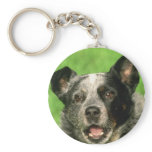 Australian Cattle Dog Keychain